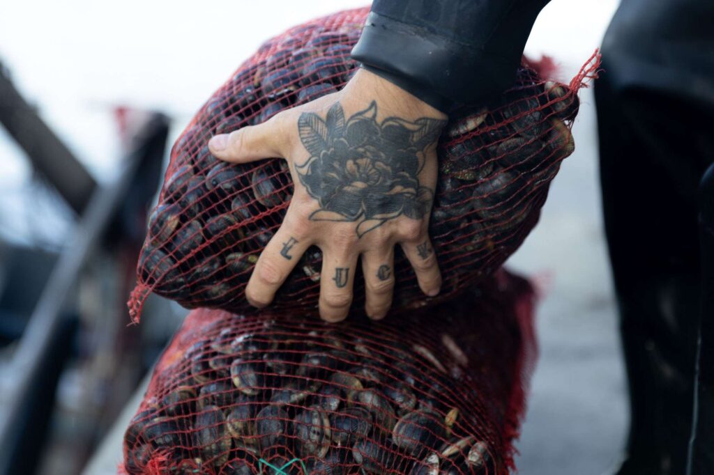 Dettaglio di mano tatuata che carica sacchi di vongole.