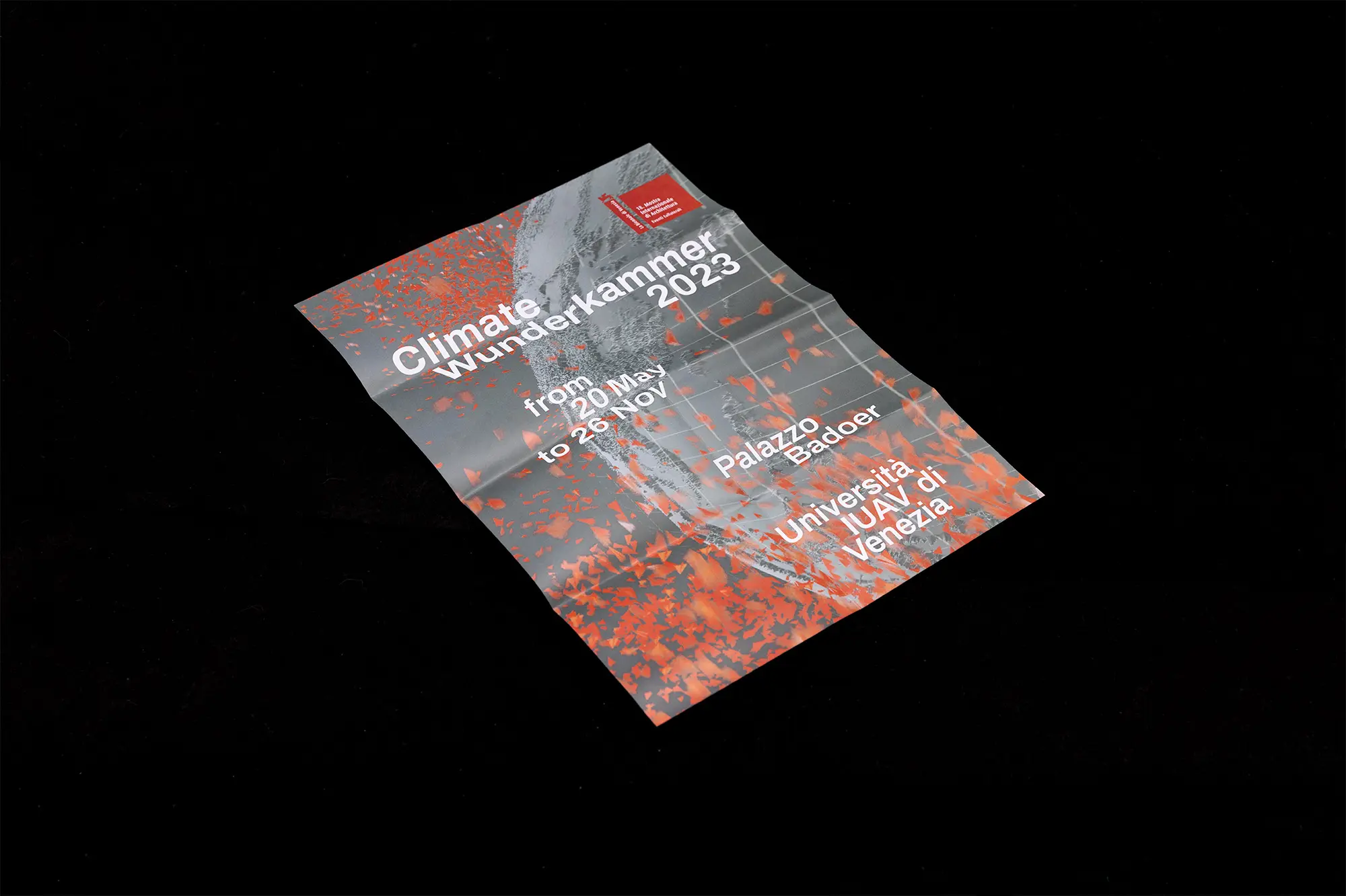 Climate Wunderkammer Grafica