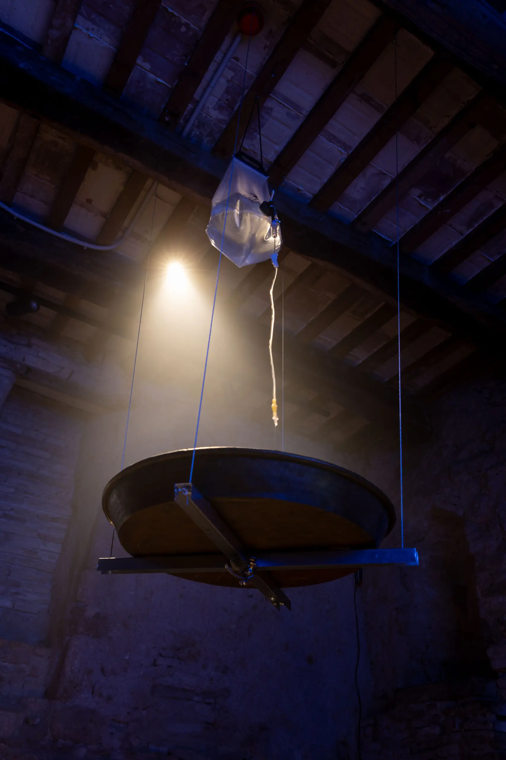 Mostra Prima dell'Alba